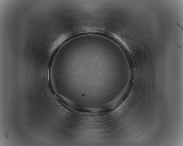 X0000091891269200709051336