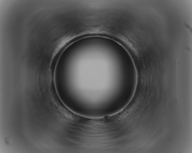 X0000091891270200709051336
