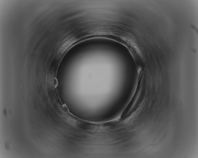 X0000091891273200709051336