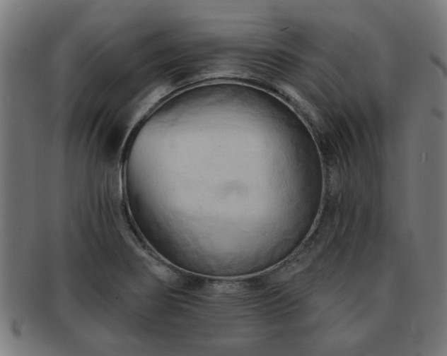 X0000091891274200709051336