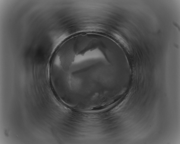X0000091891275200709051336