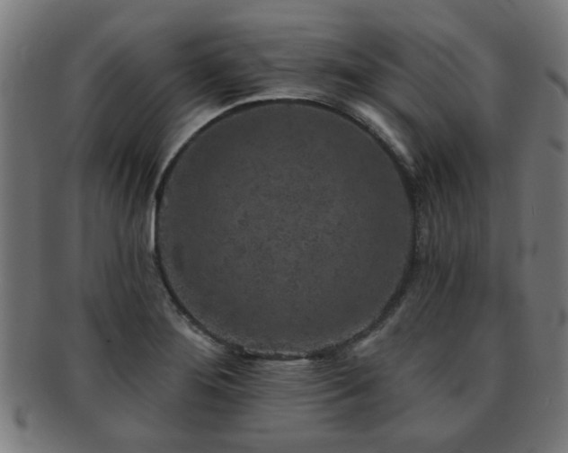 X0000091891276200709051336