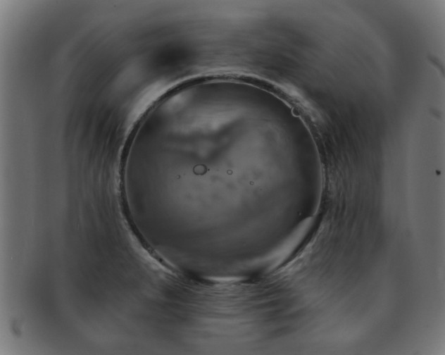 X0000091891279200709051336