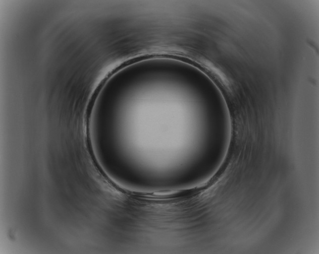 X0000091891280200709051336