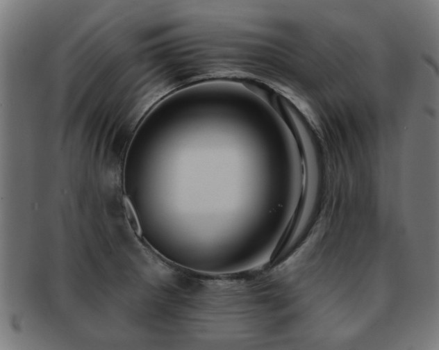 X0000091891281200709051336
