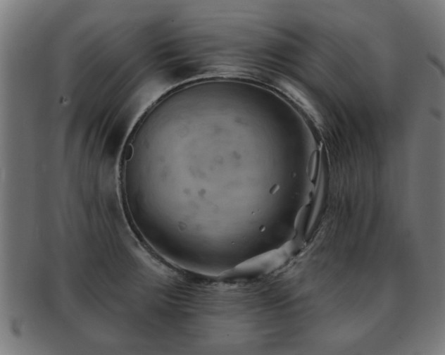 X0000091891283200709051336