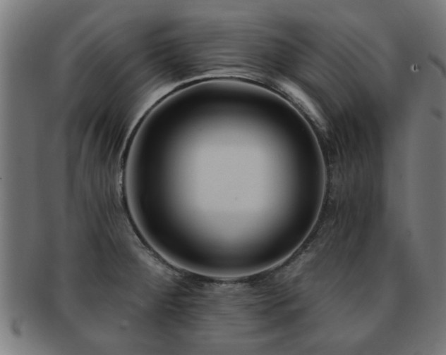X0000091891284200709051336
