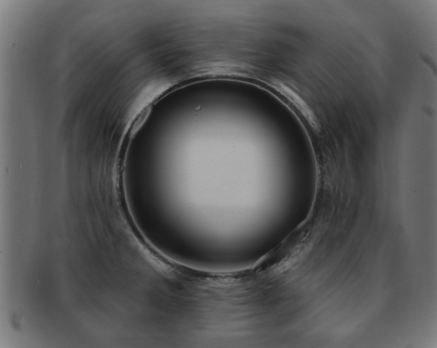 X0000091891285200709051336