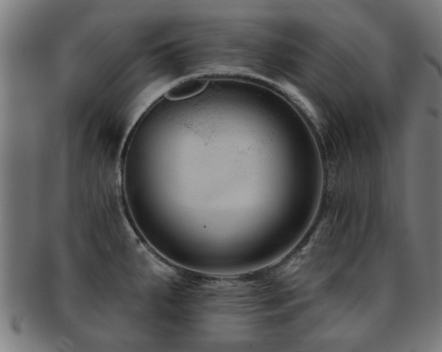 X0000091891287200709051336