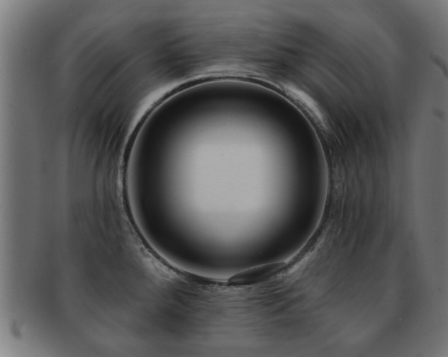 X0000091891288200709051336