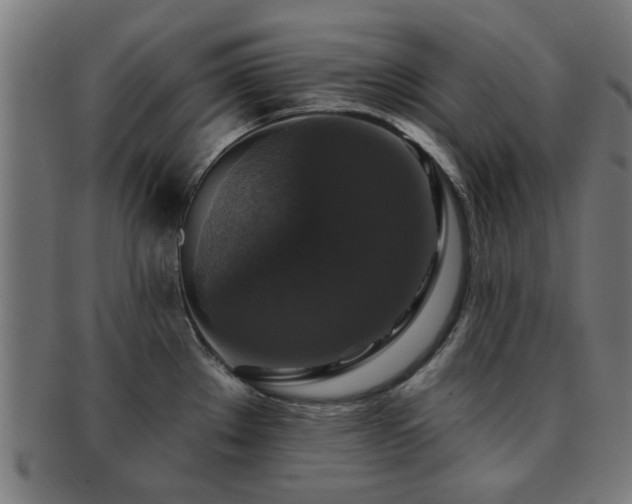 X0000091891289200709051336