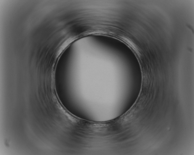 X0000091891290200709051336