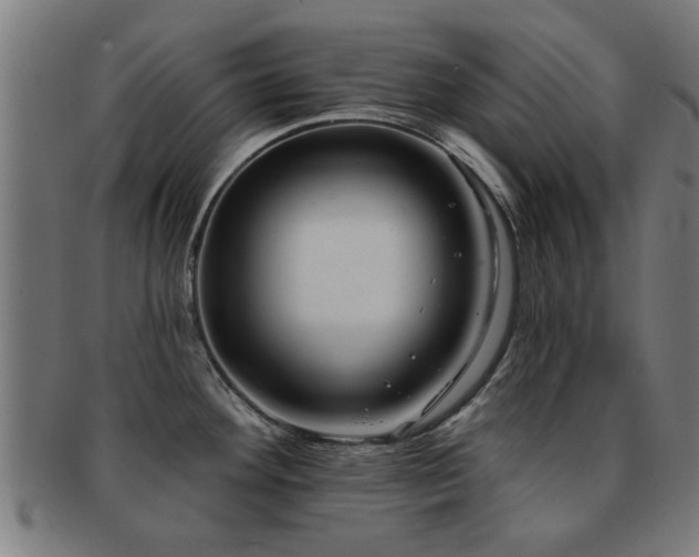 X0000091891292200709051336