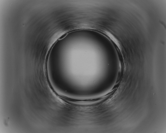 X0000091891293200709051336