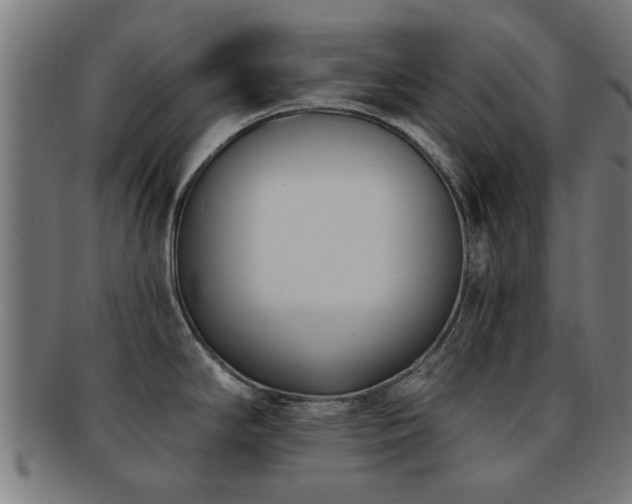 X0000091891294200709051336