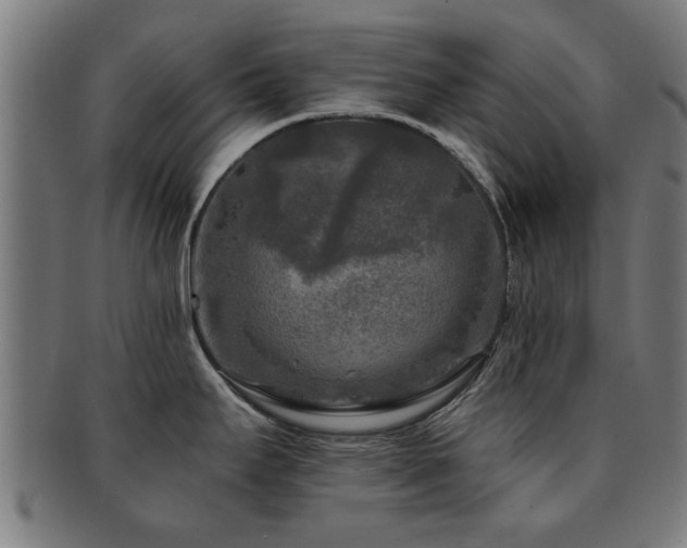 X0000091891295200709051336