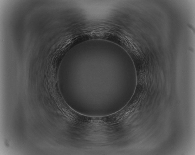 X0000091891297200709051335