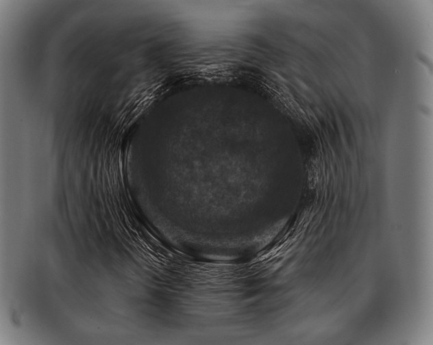 X0000091891298200709051335