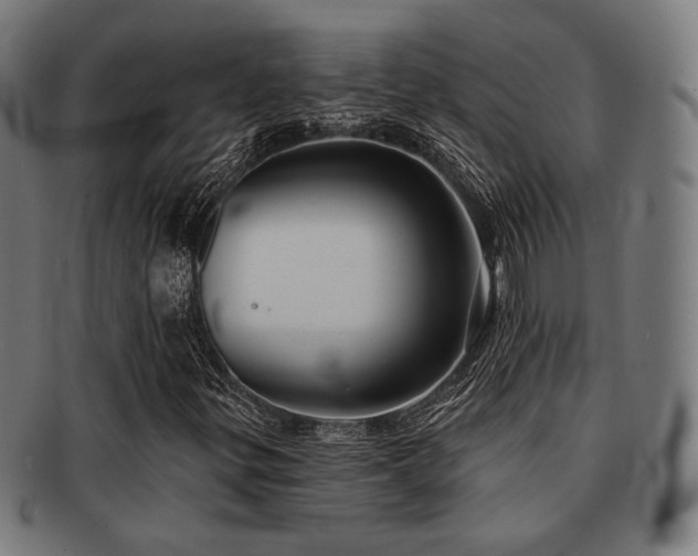 X0000091891299200709051335