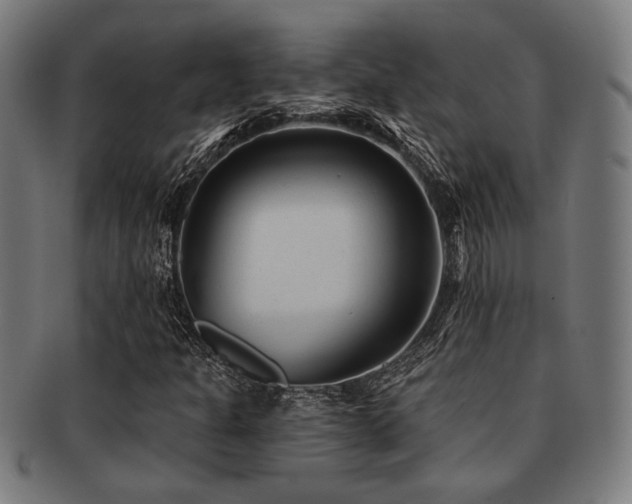 X0000091891301200709051335