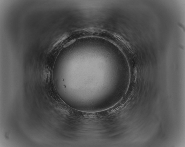 X0000091891302200709051335