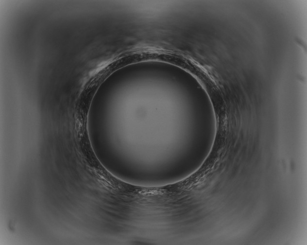 X0000091891303200709051335