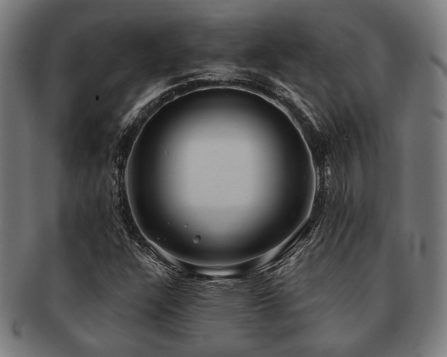 X0000091891304200709051335