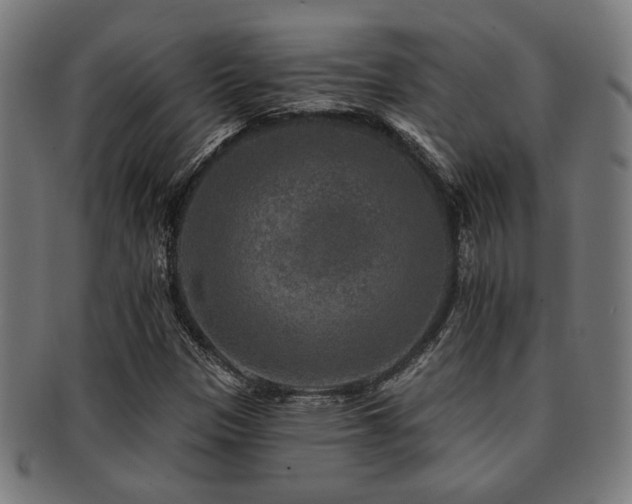 X0000091891305200709051336