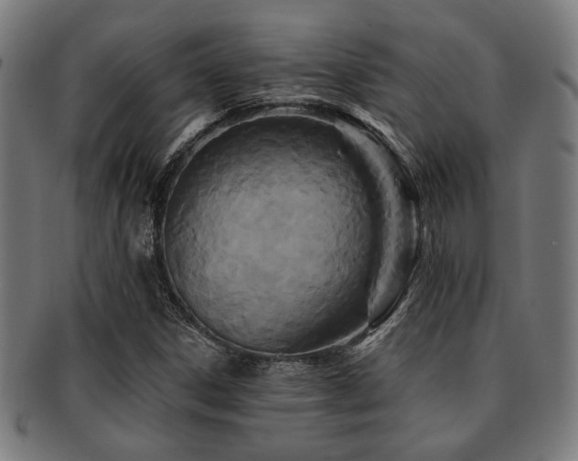 X0000091891306200709051336