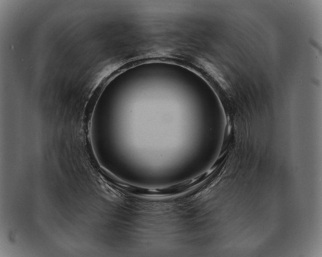 X0000091891308200709051336