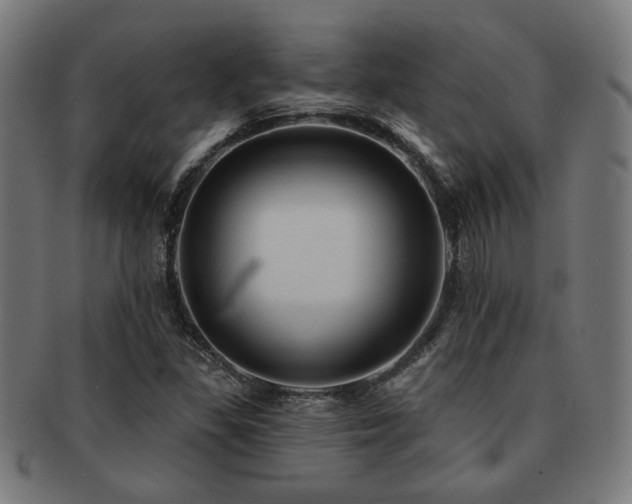 X0000091891309200709051336
