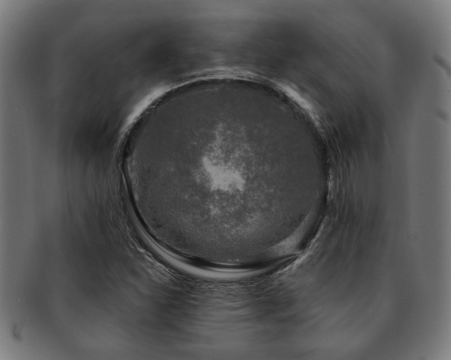 X0000091891310200709051336