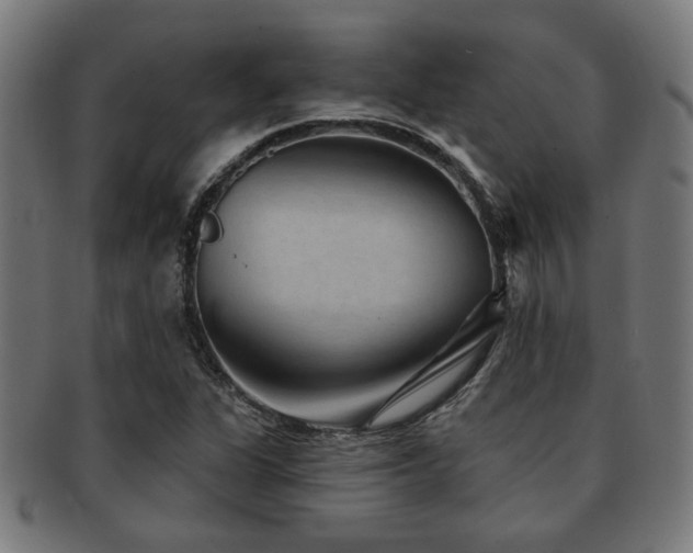 X0000091891311200709051336