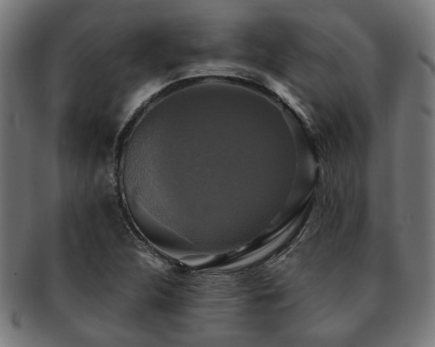 X0000091891312200709051336