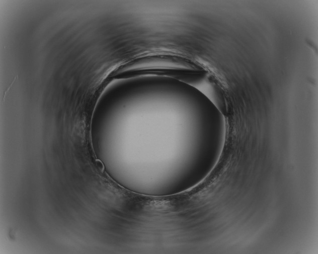 X0000091891313200709051336