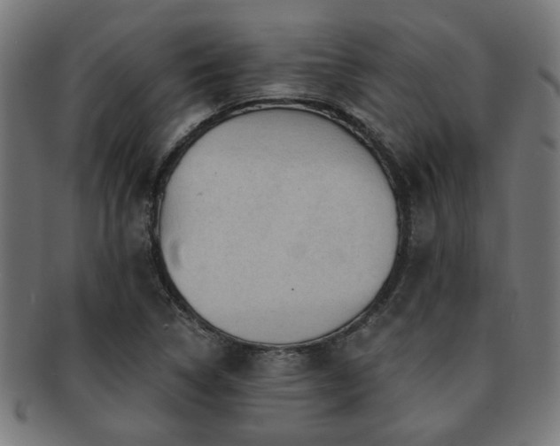 X0000091891314200709051336