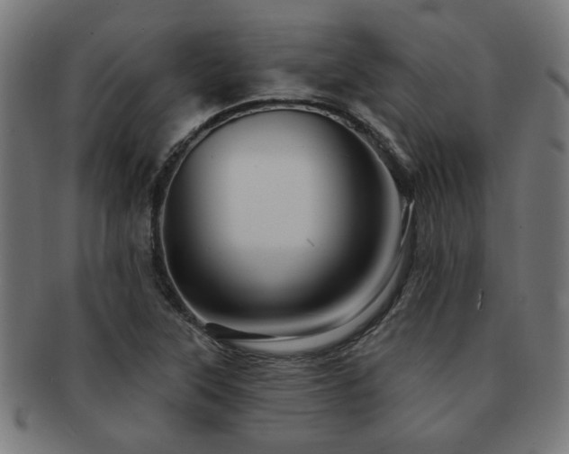 X0000091891315200709051336