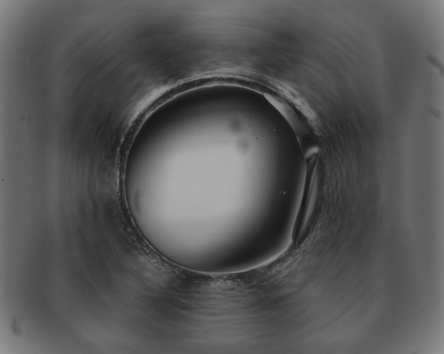 X0000091891316200709051336
