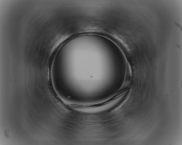 X0000091891317200709051336
