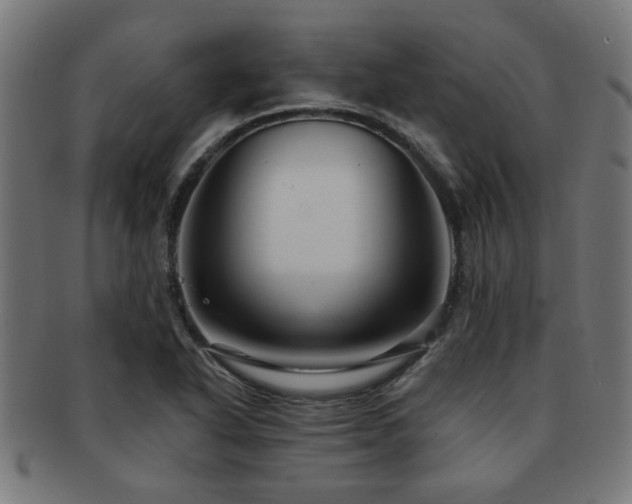 X0000091891318200709051336