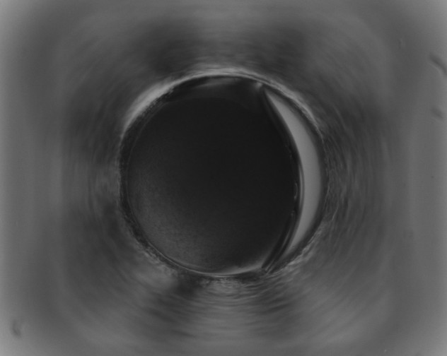 X0000091891319200709051336