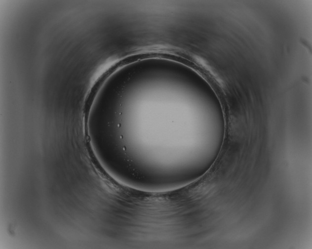 X0000091891320200709051336