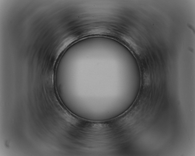 X0000091891322200709051336