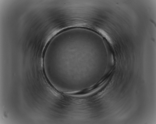 X0000091891324200709051336