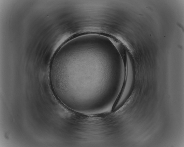 X0000091891325200709051336