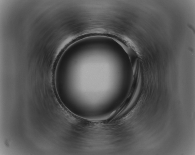X0000091891326200709051336