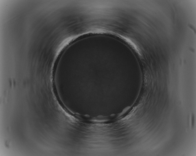 X0000091891327200709051336