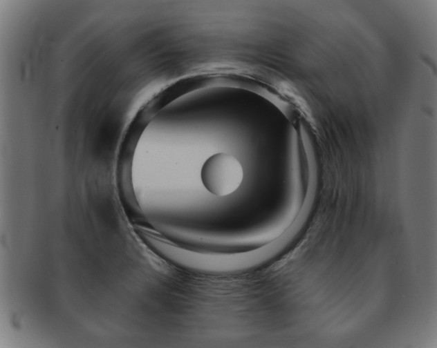 X0000091891328200709051336