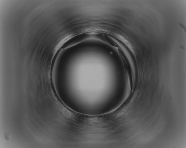 X0000091891330200709051336
