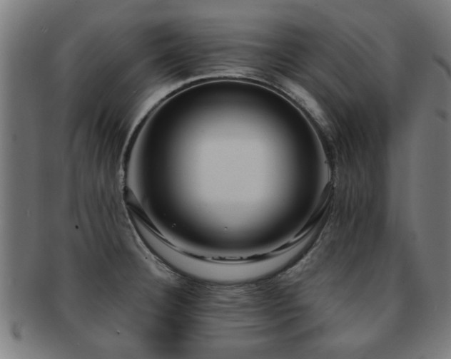 X0000091891332200709051336